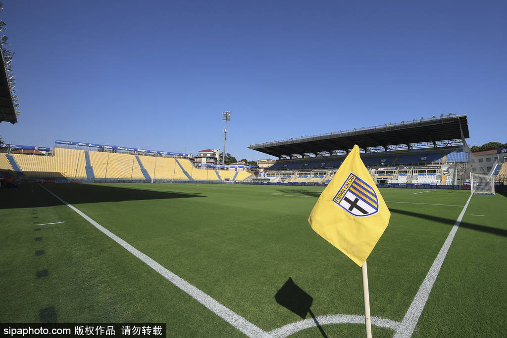 雷纳即将加盟帕尔马！多特蒙德的年轻天才为何成为意甲新宠？